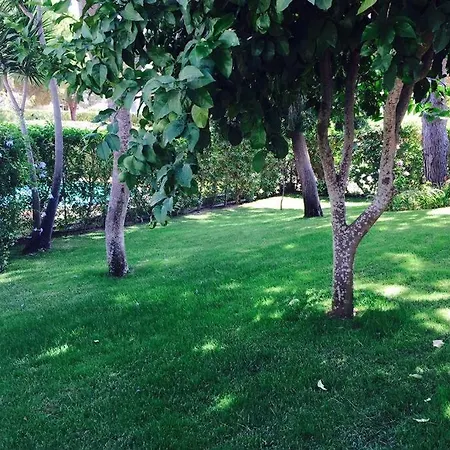 Villa 4 Bedroom Detached Private With Swimming Pool And Mature Garden Vilamoura